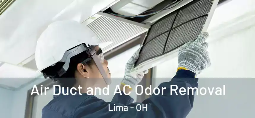 Air Duct and AC Odor Removal Lima - OH