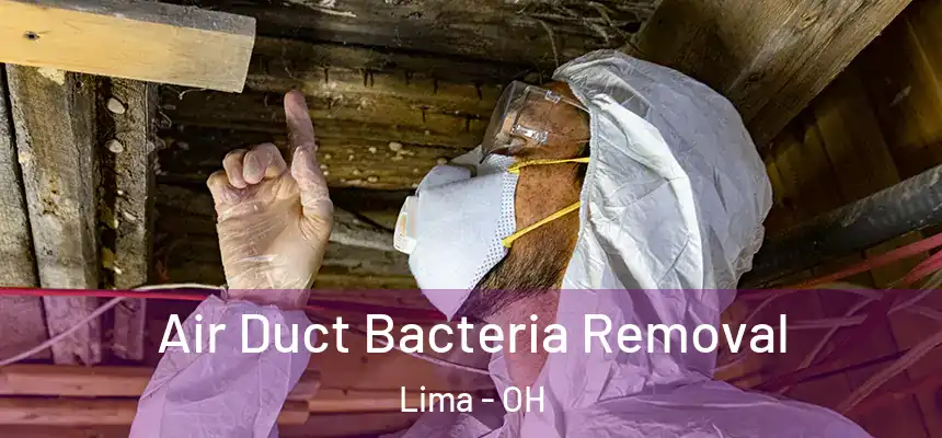 Air Duct Bacteria Removal Lima - OH