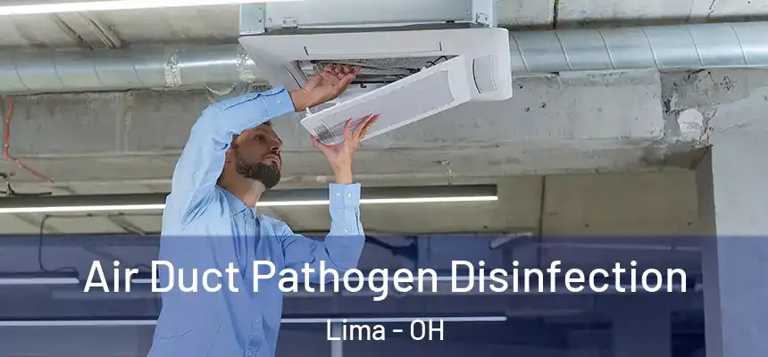  Air Duct Pathogen Disinfection Lima - OH