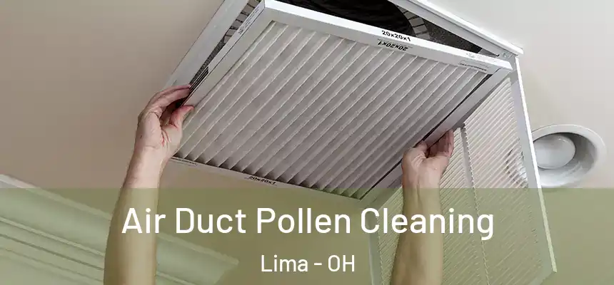 Air Duct Pollen Cleaning Lima - OH