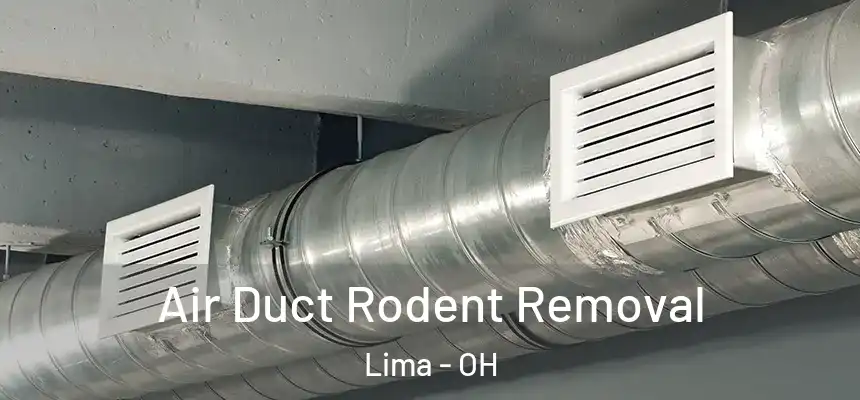Air Duct Rodent Removal Lima - OH