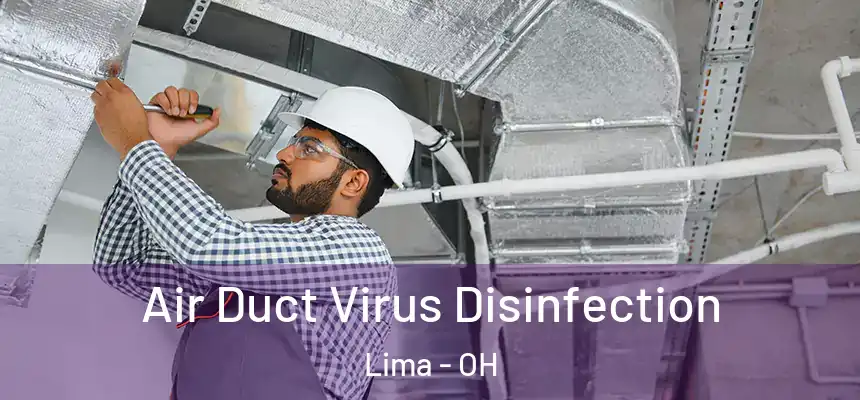 Air Duct Virus Disinfection Lima - OH