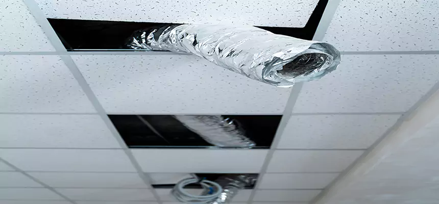 Affordable HVAC Sanitizing After Pest Removal in Lima