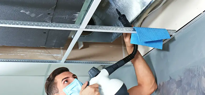 Our Air Duct Rodent Removal Services in Lima, OH