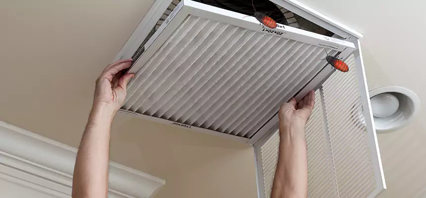 Our Insect Removal from Air Ducts Services in Lima, OH
