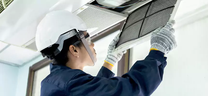 Our Mold & Mildew Removal from Air Ducts Services in Lima, OH