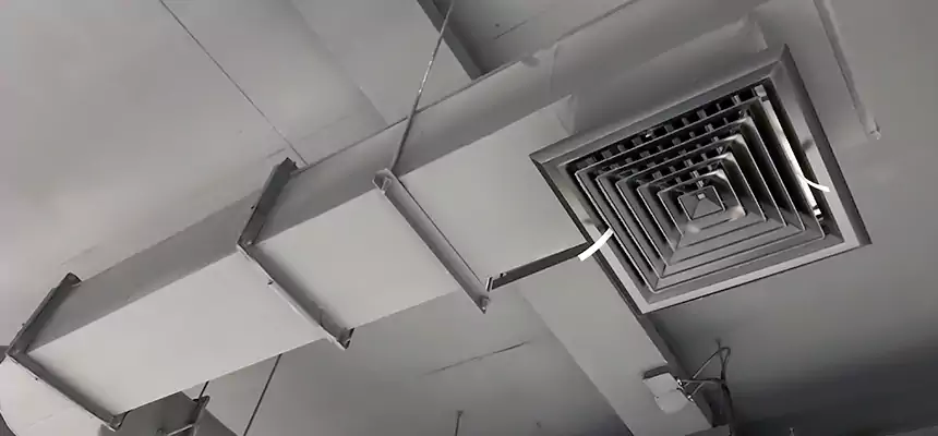 Our Pest Removal From Ducts Services in Lima, OH