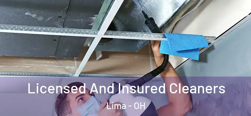 Licensed And Insured Cleaners Lima - OH
