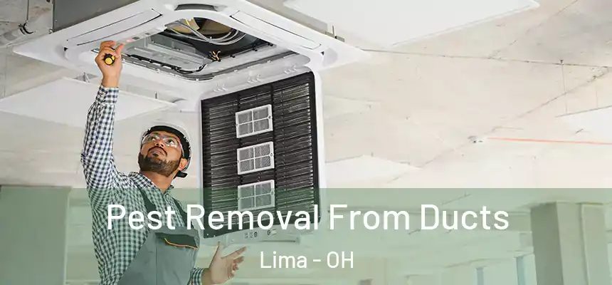 Pest Removal From Ducts Lima - OH