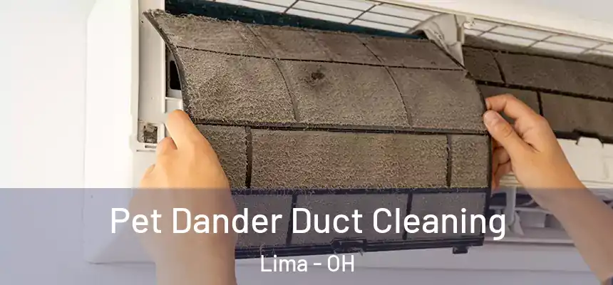  Pet Dander Duct Cleaning Lima - OH