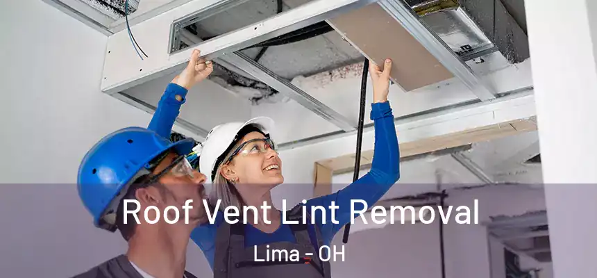 Roof Vent Lint Removal Lima - OH