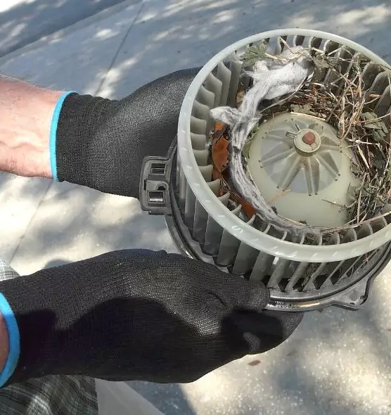 About Air Duct Mice Removal in Lima, OH