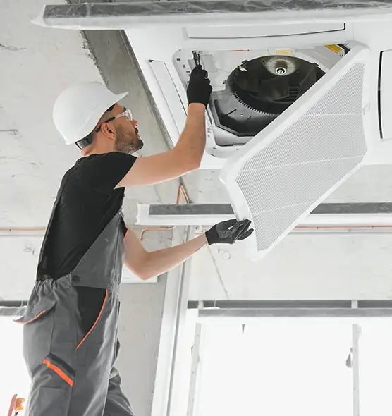 About Air Duct Rodent Removal in Lima, OH