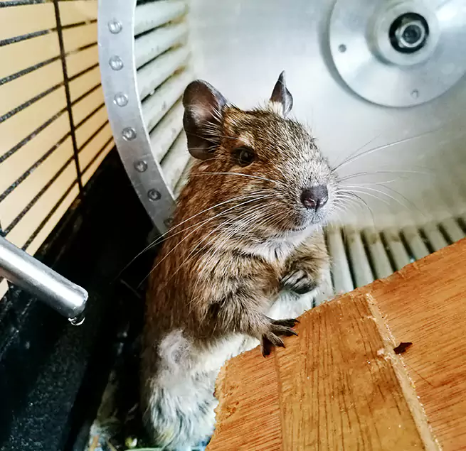 Why Homeowners & Businesses Trust Us Lima, OH?