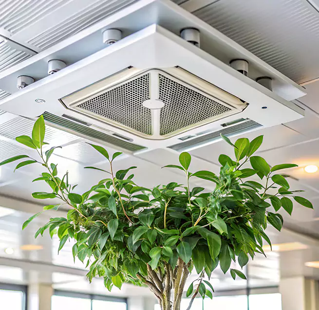 Why Homeowners & Businesses Trust Us in Lima, OH?