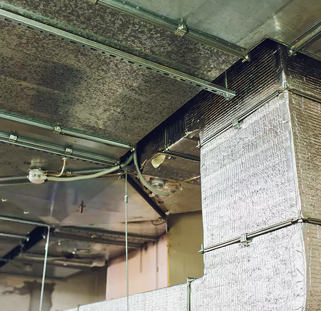 Why Homeowners & Businesses Trust Us in Lima, OH?